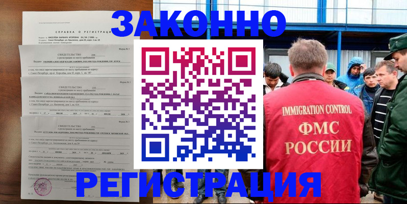 прописка поиск в Павловске